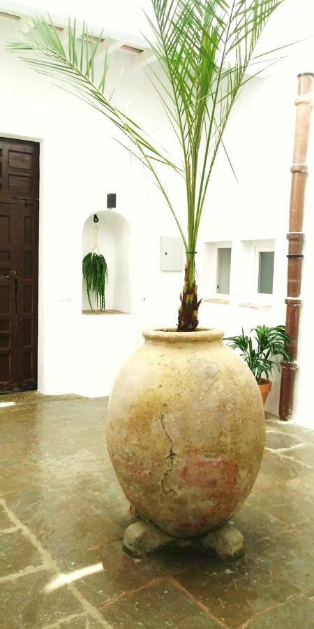 ベヘール・デ・ラ・フロンテーラLa Fuente 14, Casa Solariega En Pleno Centroアパートメント エクステリア 写真